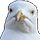 :seagle: