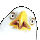 :eagle: