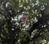 Screenshot 2021-09-27 4.44.07 PM.png