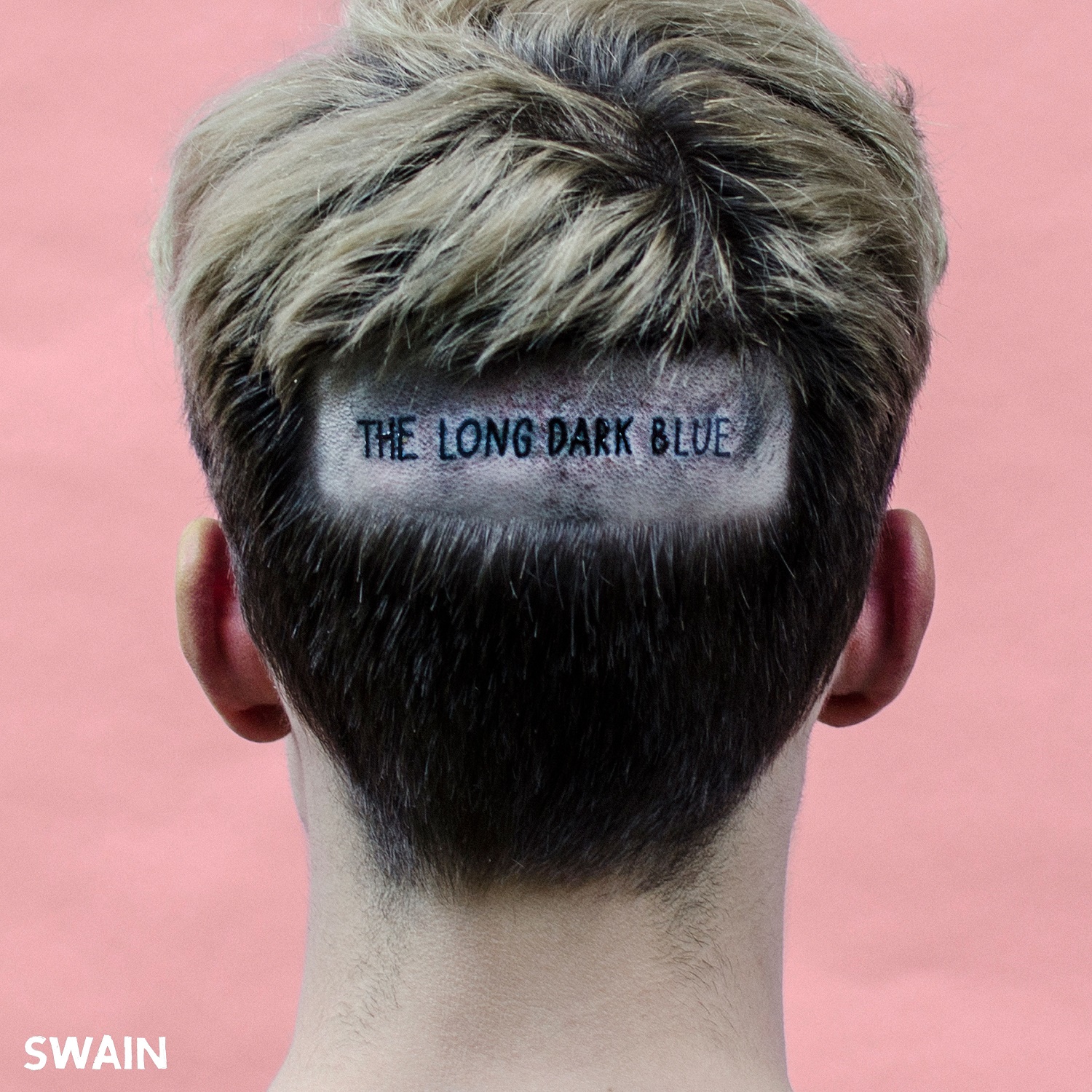 SWAIN-The-Long-Dark-Blue.jpg