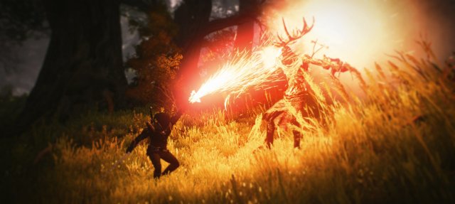 www.pcgames.de